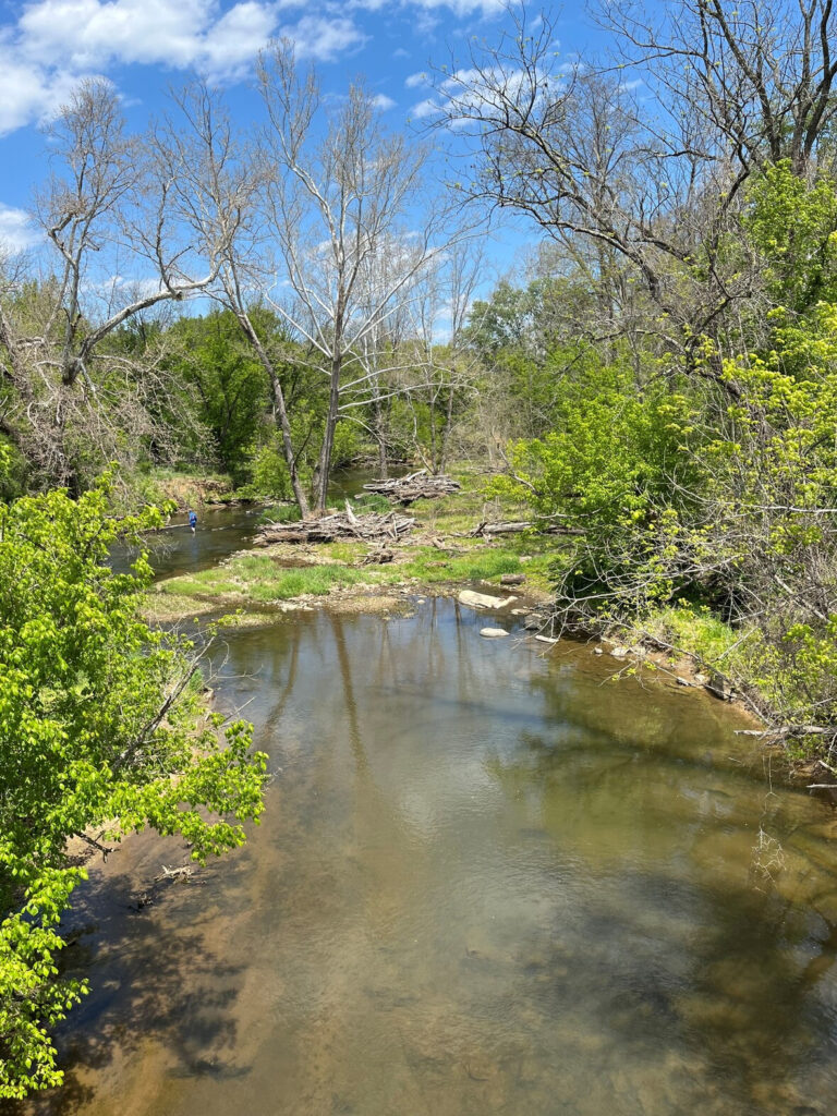 Goose Creek