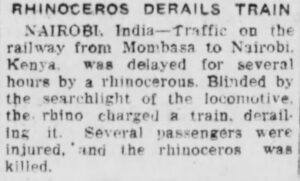 Rhino derails train