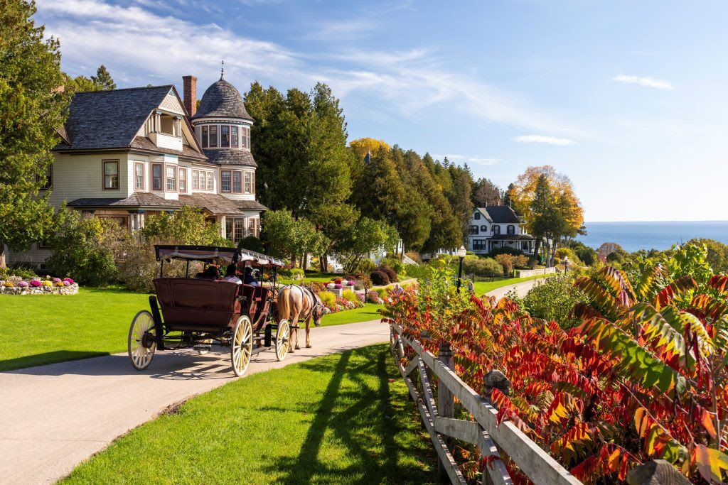 Mackinac Island horse