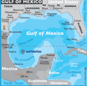 Screenshot 2025-02-06 150344