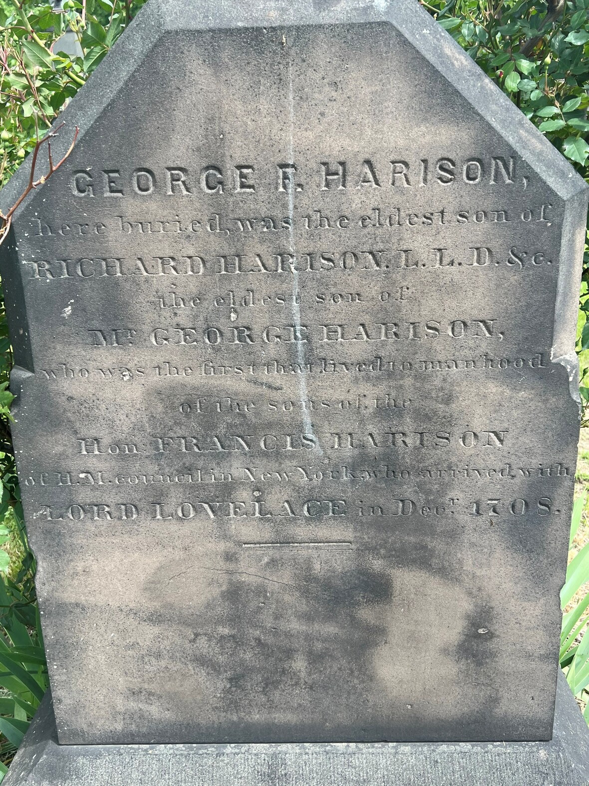 Harison stone 2